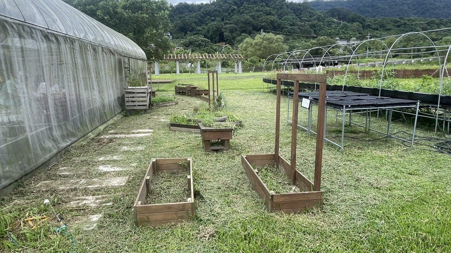 思凡農場的溫室旁,木框植床、育苗架與步道排列在青山下