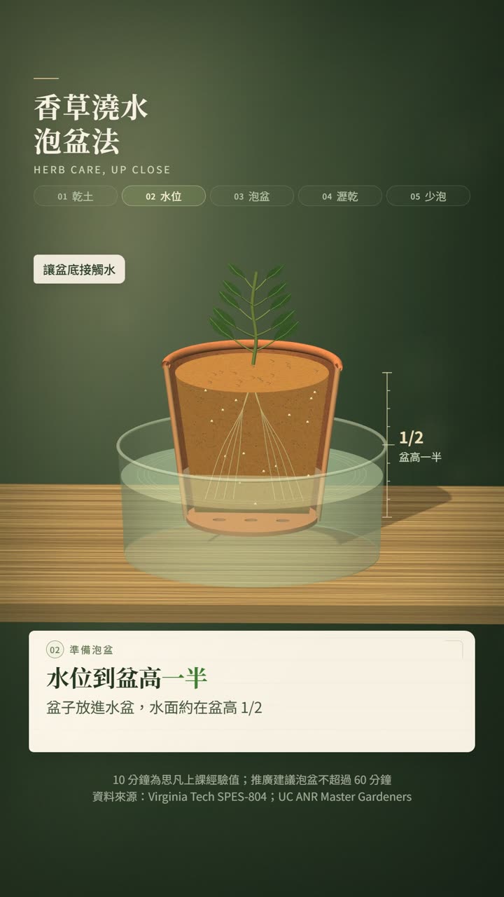 香草種植技術影片:泡盆澆水法
