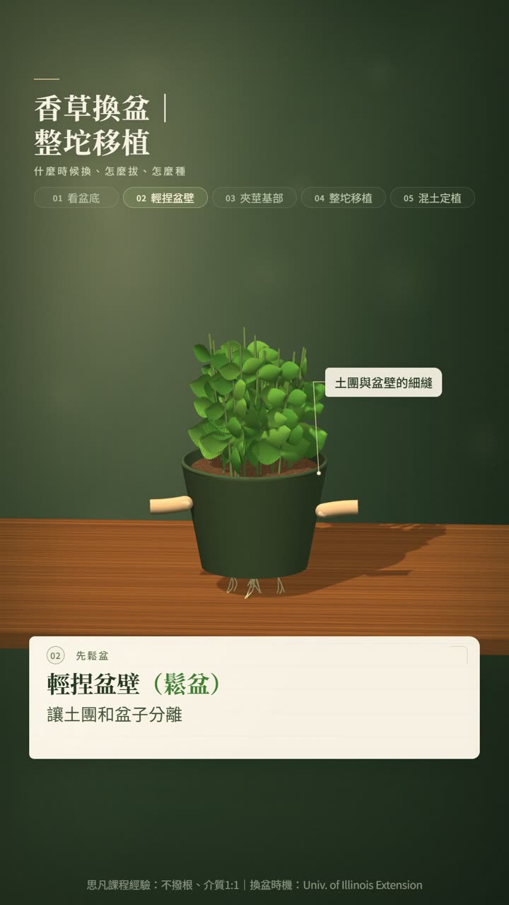 香草種植技術影片:換盆