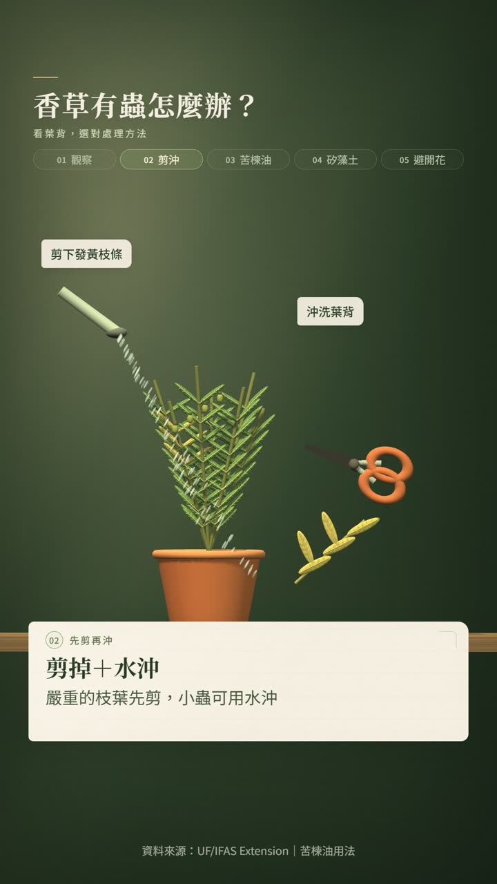 香草種植技術影片:蟲害處理